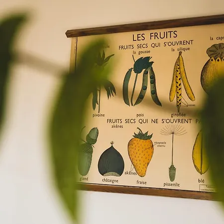 Appartement Le Sommeiller 37 - For 4 People With 360 View